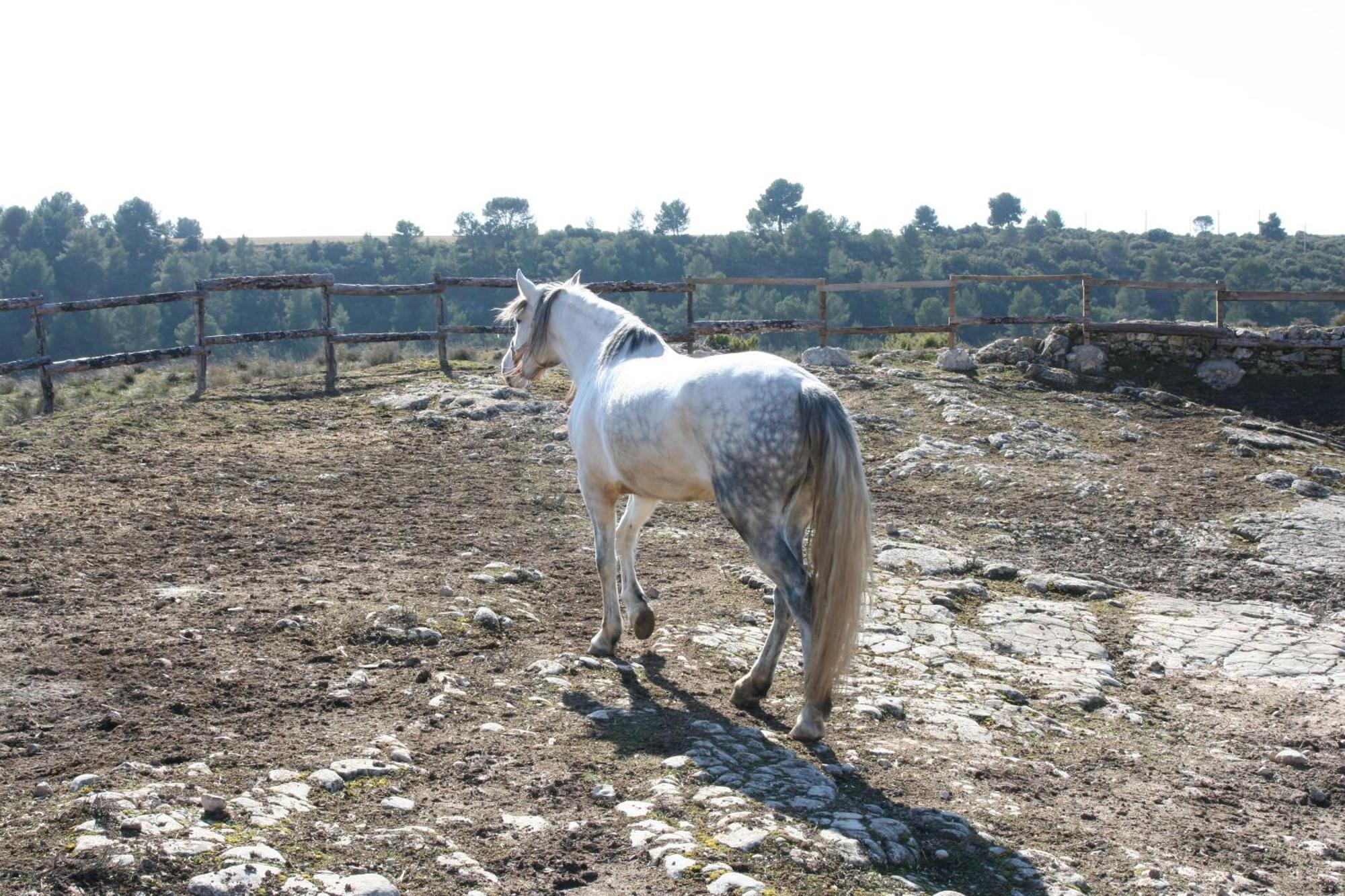 La Posada Del Hidalgo De Alarcón Εξωτερικό φωτογραφία